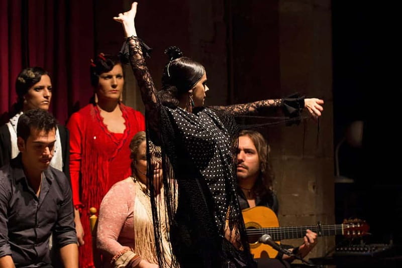Barcelona: Tapas and Wine with Flamenco Show in the Old Town - Why This Tour Offers Great Value