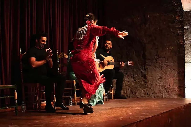 Barcelona: Tapas and Wine with Flamenco Show in the Old Town - Frequently Asked Questions