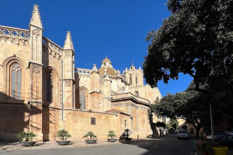 Barcelona: Tarragona & Sitges Guided Day Trip with Transfers - The Guide’s Knowledge and Tour Pacing