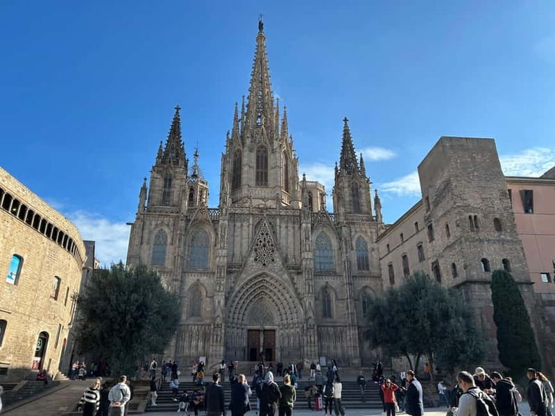 Barcelona: Top Sights by Bike Tour - The Experience of the Guide