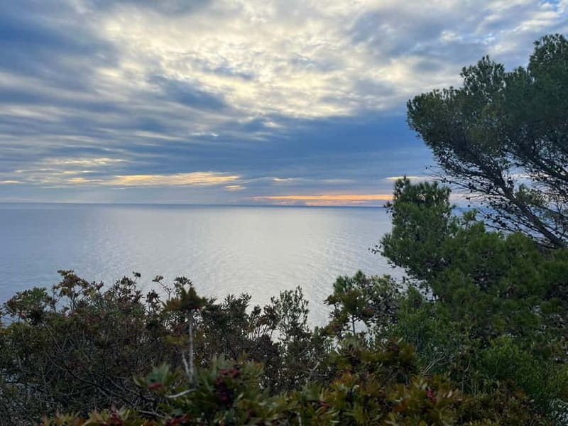 Barcelona: Tossa de Mar & Costa Brava very small group - The Small Boat Ride and Cave Explorations at Cala Giverola