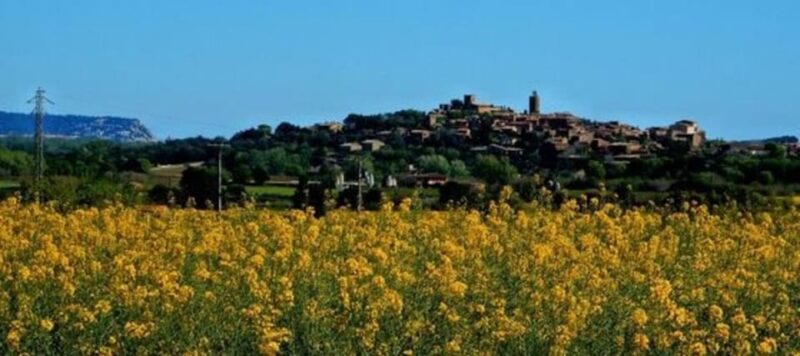 Barcelona: Tour Besalu, Peratallada and pals - Explore Catalonia’s Medieval Charm on a Full-Day Tour from Barcelona