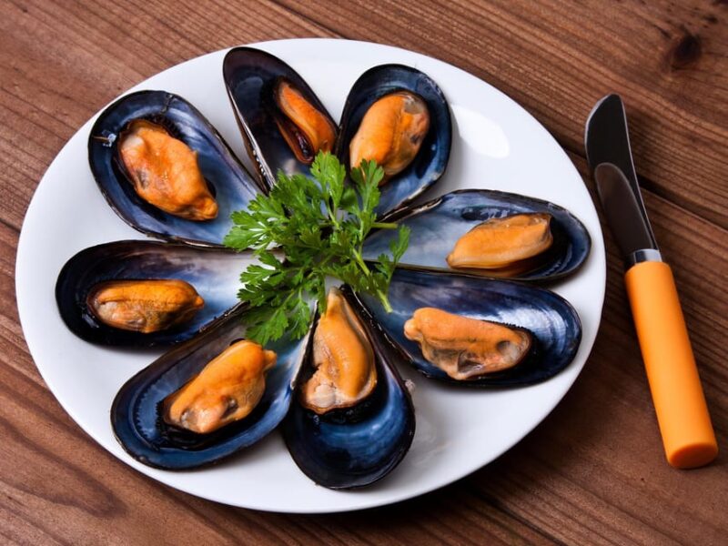 Barcelona: Tour: Mussels, Rice Plantation and Paella - Explore the Ebro Delta’s Mussels, Oysters, and Rice Culture in a Private Tour