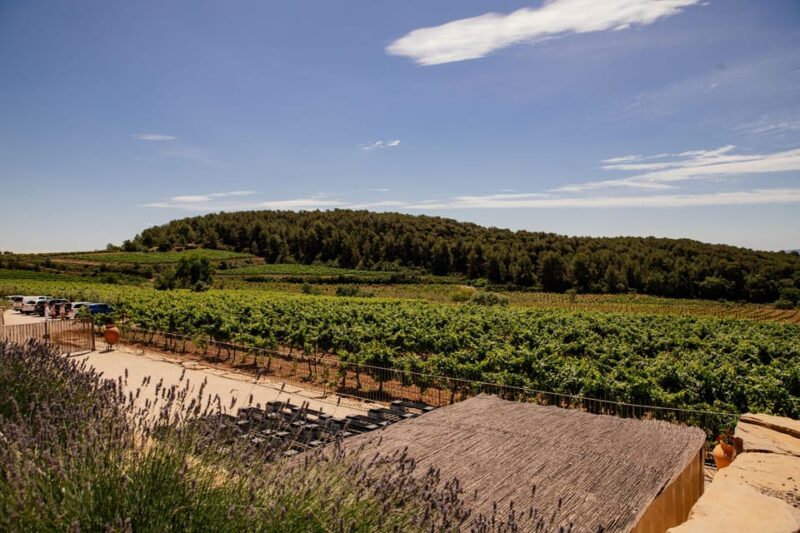 Barcelona: Vineyard Horseback Riding & Wine Tasting + Tapas - Tasting Top-Quality Wines Paired with Tapas or a Luxury Lunch