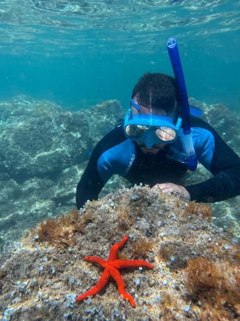 Barcelona Wild Experience: Kayak & Snorkel in Costa Brava - Premium Equipment and Guided Support Throughout