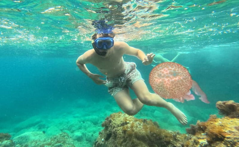 Barcelona Wild Experience: Kayak & Snorkel in Costa Brava - The Experience Provider: Catalands’ Personalized Approach