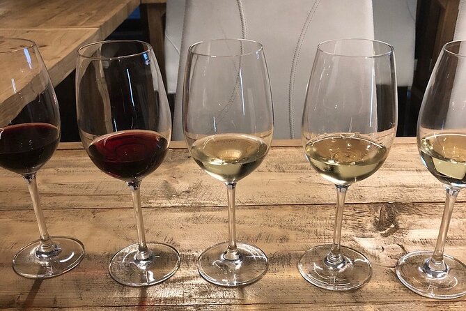 Barcelona: Wine Tasting and 5 Course Tapas Pairing Dinner - Suitability for Different Types of Guests