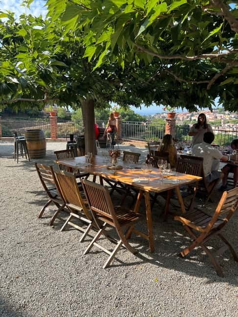 Barcelona: Wine Tasting & Marimurtra Garden Tour & Blanes - Logistics and Practical Tips for the Tour