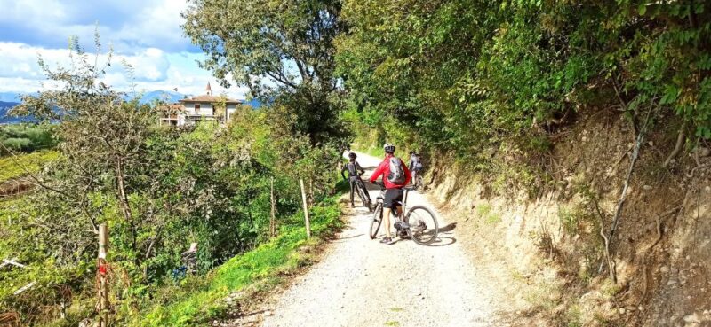 Bardolino: e-bike tour and wine tasting on the hills - Wine Tasting at a Hilltop Cellar