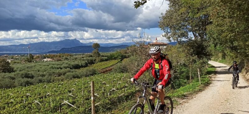 Bardolino: e-bike tour and wine tasting on the hills - Pacing and Value for Money