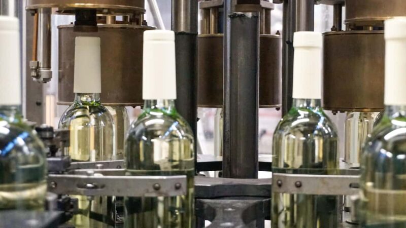 Bardolino: Tour and Tasting at Cantina Lenotti - Visiting Lenotti Winery in Bardolino: A Must for Wine Enthusiasts