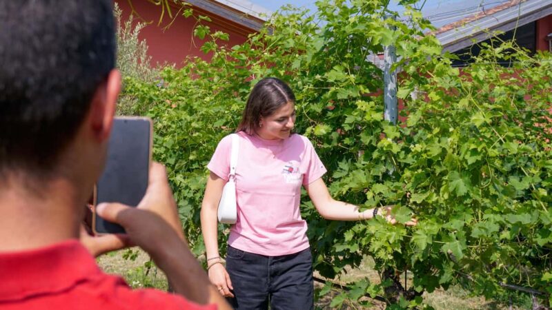 Bardolino: Tour and Tasting at Cantina Lenotti - Who Should Consider This Tour?