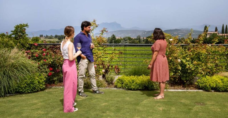 Bardolino: Vineyard Tour with Wine and Food Tasting - Key Points