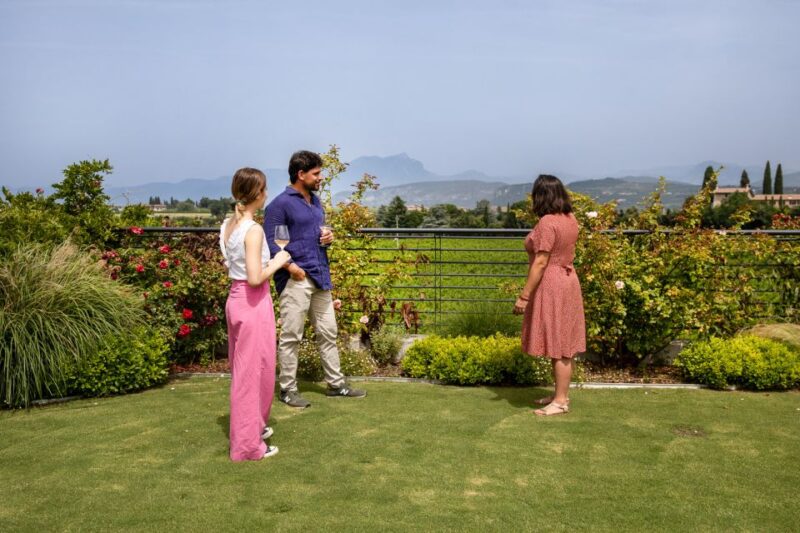 Bardolino: Vineyard Tour with Wine and Food Tasting - Exploring the Bardolino Vineyards and Cellars