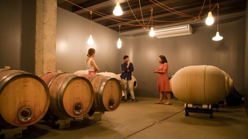 Bardolino: Vineyard Tour with Wine and Food Tasting - The Expertise and Approach of the Guide