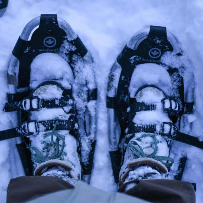 Bardufoss: Snowshoe hike to Norway's National Waterfalls - Experience the Frozen Majesty of Målselvfossen on Snowshoes