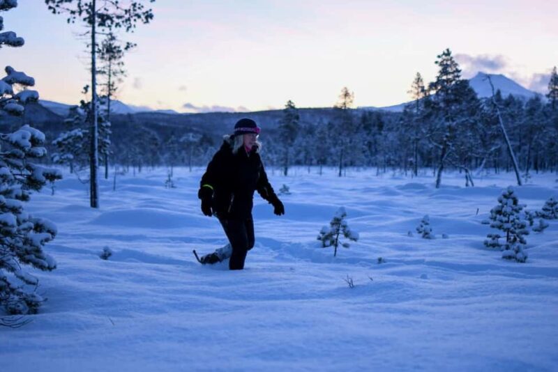 Bardufoss: Snowshoe hike to Norway's National Waterfalls - The Guide Shares Stories of the Arctic Wilderness and Waterfall