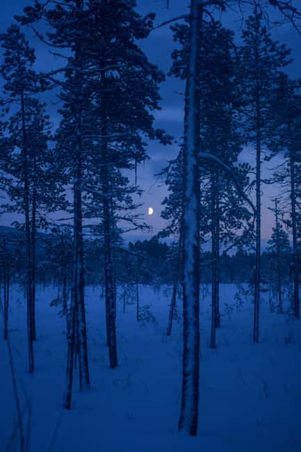 Bardufoss: Snowshoe hike to Norway's National Waterfalls - Timing and Pacing of the 3-Hour Experience