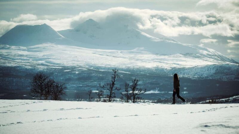 Bardufoss: Snowshoe Hike with Campfire, Lunch and Great View - Explore Bardufoss on a Snowshoe Hike with Campfire and Scenic Views