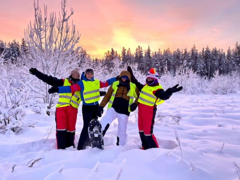 Bardufoss: Wild Moose Safari with Lunch - Visiting Prime Moose Observation Locations