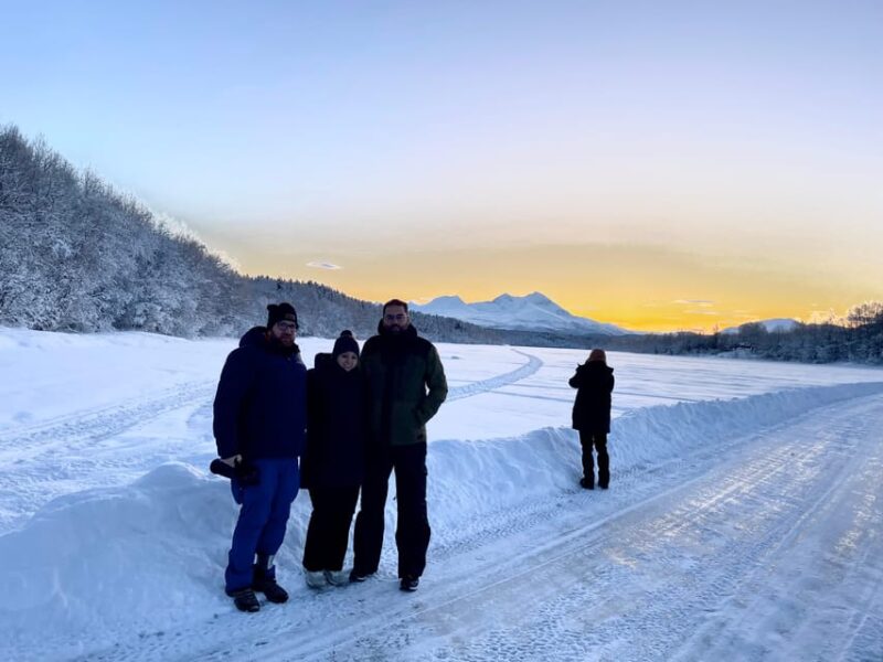 Bardufoss: Wild Moose Safari with Lunch - Exploring Arctic Forests and Looking for Moose Tracks