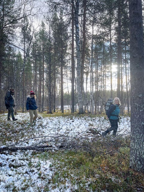 Bardufoss: Wild Moose Safari with Lunch - Scenic Drives and Wildlife Viewing Opportunities
