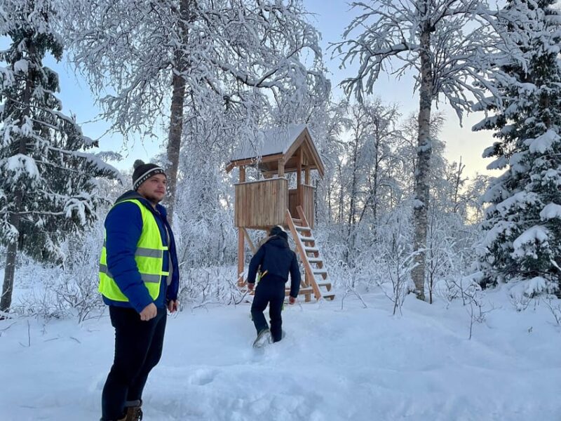Bardufoss: Wild Moose Safari with Lunch - Stops at Scenic Viewpoints and Photo Opportunities