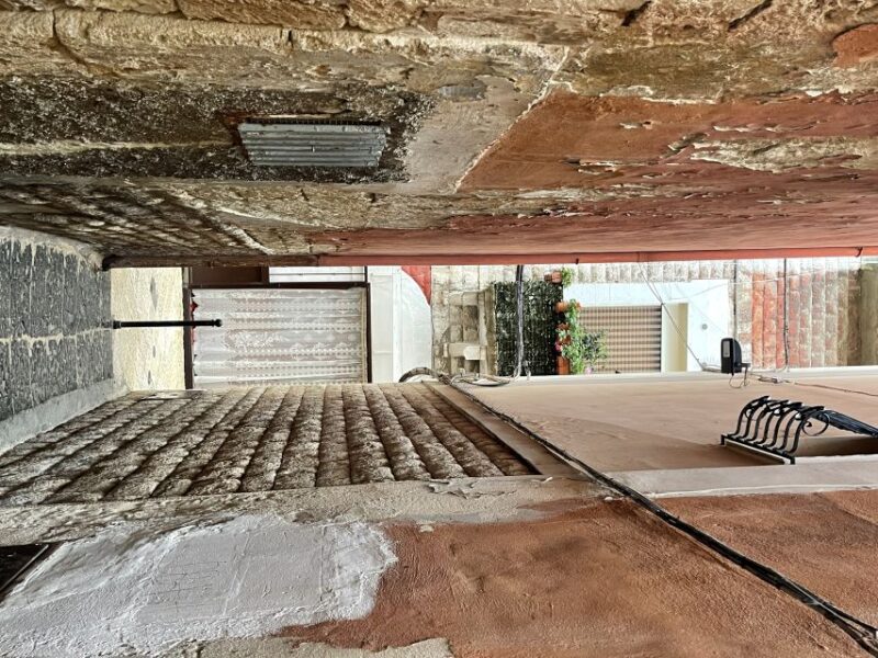 Bari: Private Food and Walking Tour - Discovering the Art of Handmade Orecchiette