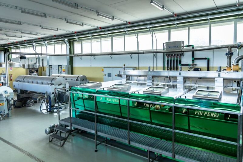 Barletta-Andria-Trani: oil mill tour and oil tasting - Becoming an Oil Master for a Day