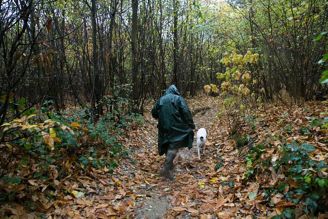 Barolo & Barbaresco Wine Tour with a Sommelier - Traditional Lunch at a Local Osteria in a Historic Village
