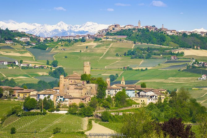 Barolo & Barbaresco Wine Tour with a Winemaker - Starting Point in Alba with Convenient Pick-up