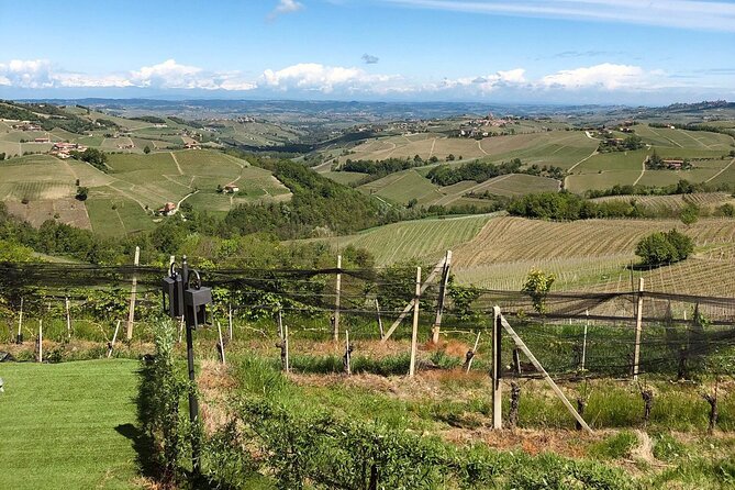 Barolo & CO: visit and tasting - Key Points