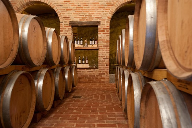 Barolo & CO: visit and tasting - Walk Through the Vineyard to the Tasting Room