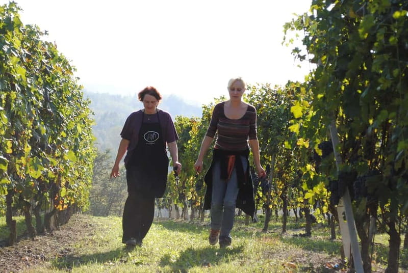 BAROLO: GUIDED VISIT TO THE WINERY AND TASTING WITH THE PRODUCER - Key Points