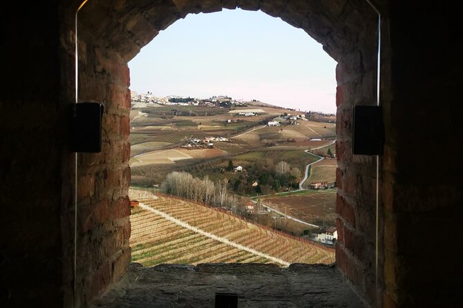 Barolo wine Tasting, Alba, UNESCO Castle: Small Group from Milan - What Sets This Tour Apart
