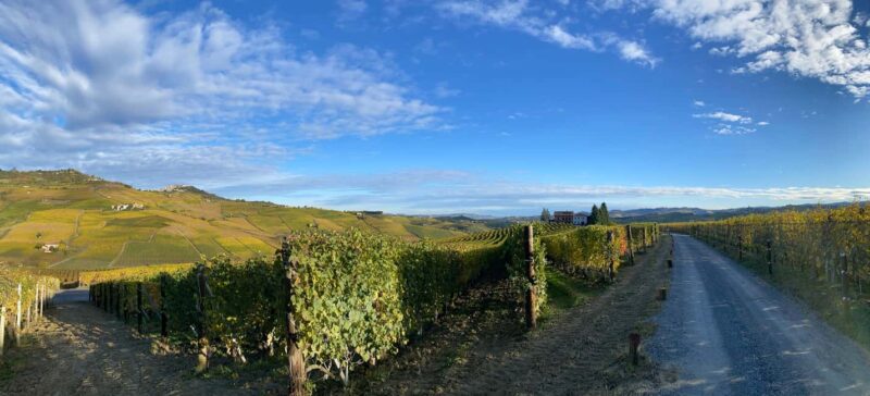 Barolo: Wine Tasting in the Heart of Cannubi - Discover the Historic Winery in MGA Cannubi