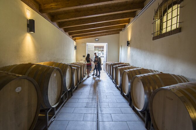 Barolo Wine Tour - Discover the Charm of the Barolo Wine Tour in Italy’s Langhe Region