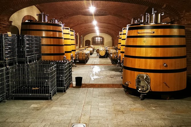 Barolo&Barbaresco wine tour with a local winemaker - Discover the Heart of Piedmont’s Finest Wines