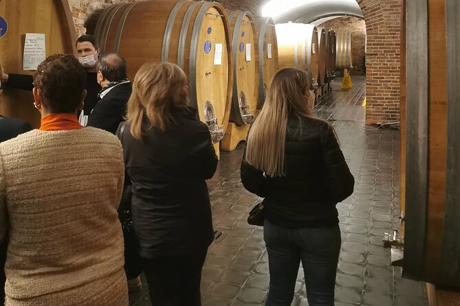 Barolo&Barbaresco wine tour with a local winemaker from Alba - Tasting Organic and Vintage Wines with a Personal Touch