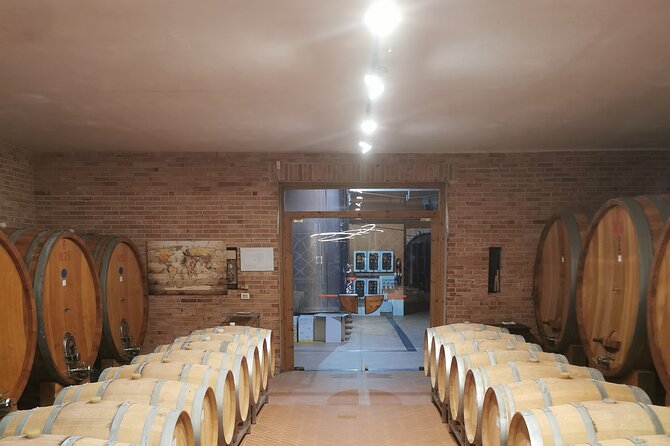 Barolo&Barbaresco wine tour with a local winemaker from Asti - La Morra: The Highest Town for a Memorable Lunch