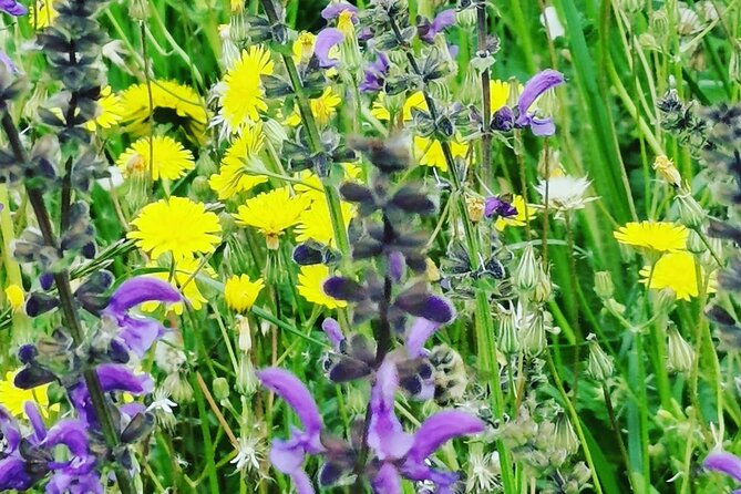 Barolo&Barbaresco wine tour with a local winemaker from Asti - What Makes the Wine Tastings Special
