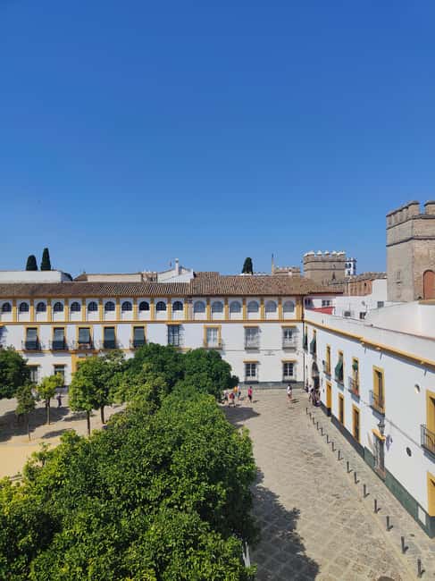 Barrio de Santa Cruz: a private walking tour through Seville's old Jewish quarter. - Key Points