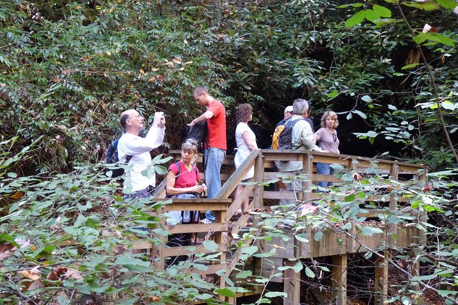 Bartram Trail Hike plus Wine Tasting - Key Points