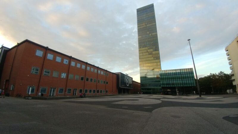 Basel: Private Walking Tour with a Local Guide - Key Points