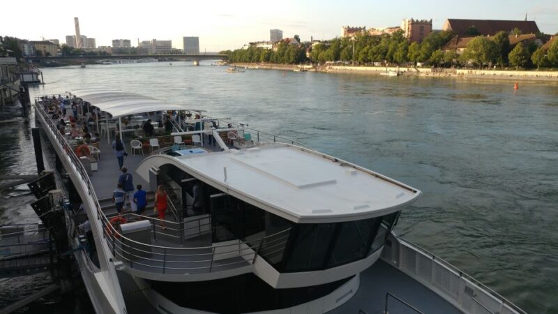 Basel: Private Walking Tour with a Local Guide - Who Will Truly Enjoy This Tour?