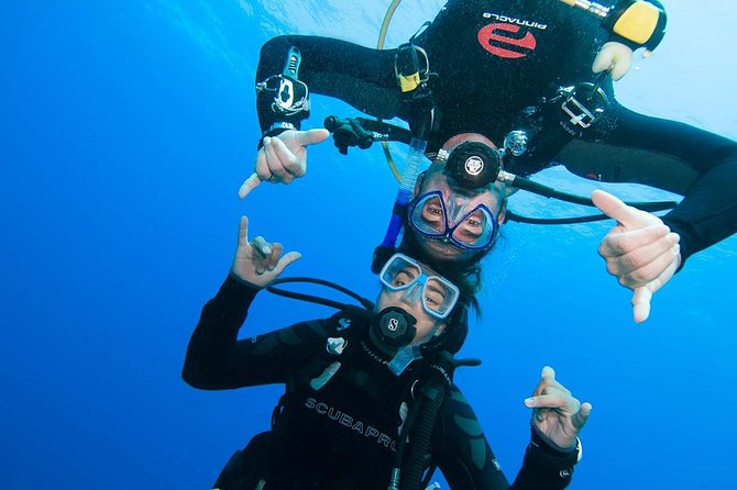 Basic Diver course for beginners with 1 dive in the Ocean - Discover the Basic Diver Course in Tenerife: A Perfect Intro to Scuba