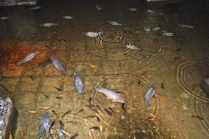 Basilica Cistern Skip the Line Ticket - The Guide’s Commentary and Audio Tour Experience