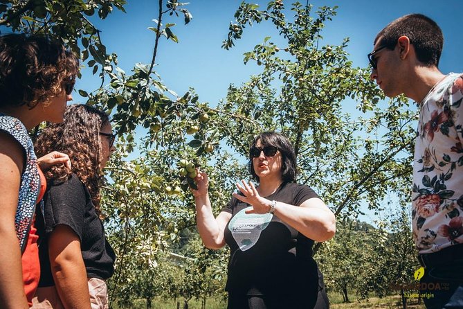 "Basque Cider House" guided tour + meal from San Sebastian - Visiting a Family-Run Cider Cellar in San Sebastian