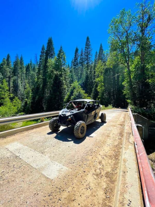 Bass Lake Vista Guided UTV Adventure Tour - Key Points