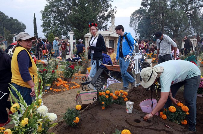 Bastards of Mexico: Unfiltered Tour of the Historic Center - Wrapping Up the Experience: Honest and Entertaining